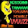 kustum 