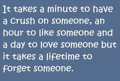 It takes a minute to have a crush on someone, an hour to like someone and a day to love someone but it takes a lifetime to forget someone.