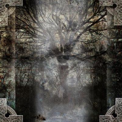Elder Tree