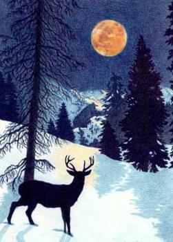 Snow Deer