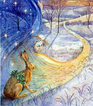 Snow Hare