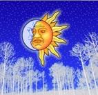 Winter Sun