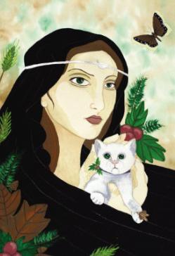 Solstice Cat
