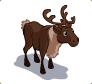 Reindeer