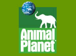 animal planet logo