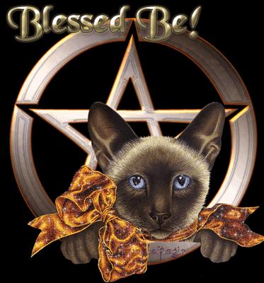 Blessed Be Cat