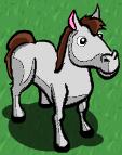 White Horse