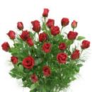romantic