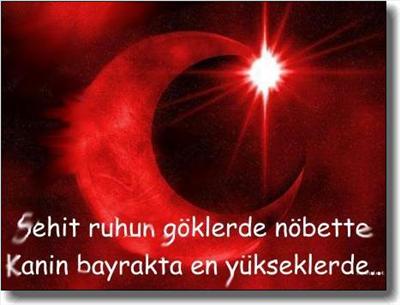 Türk bayrağı