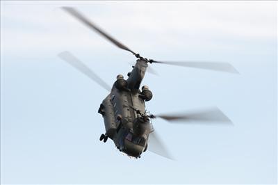 Chinook