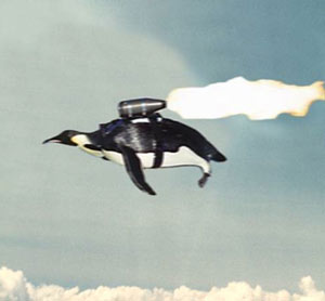 Flying Penguin