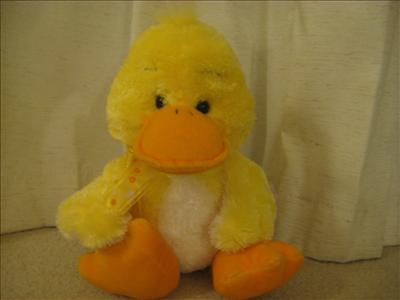 golden duck