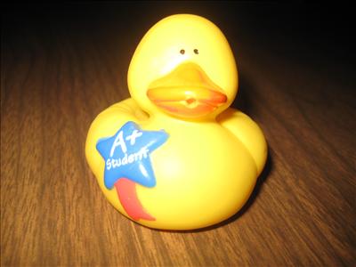 #1 duck