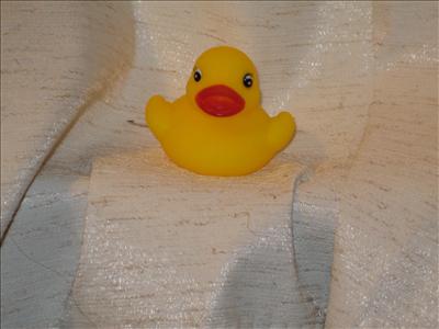 rubber ducki