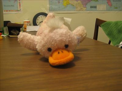 pink duck