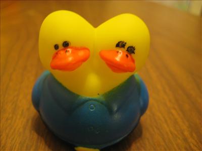 two faced duck