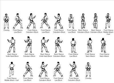 Lesson in Karate