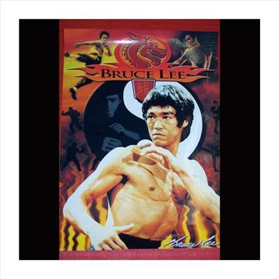 Bruce Lee poster