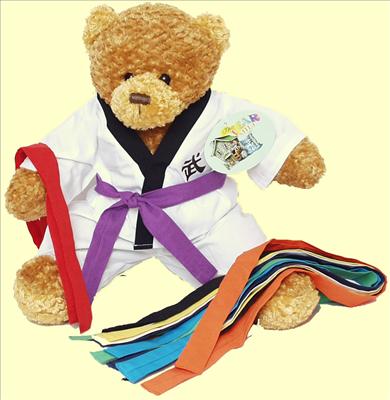 Karate Teddy