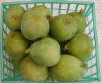 kermous