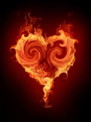 Fiery Affection