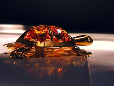 Jeweled Turtle