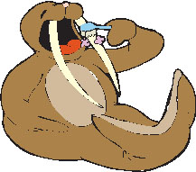 Walrus Brushing Teeth
