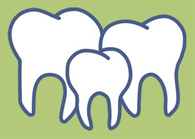 molars