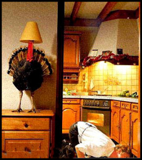 Turkey Hunt