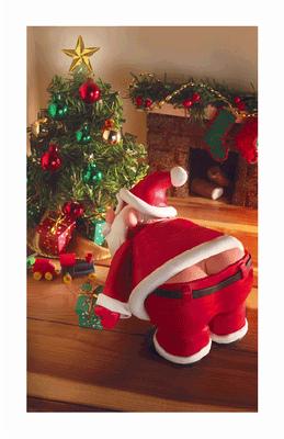 Plumber Santa