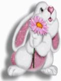 loveable bunny