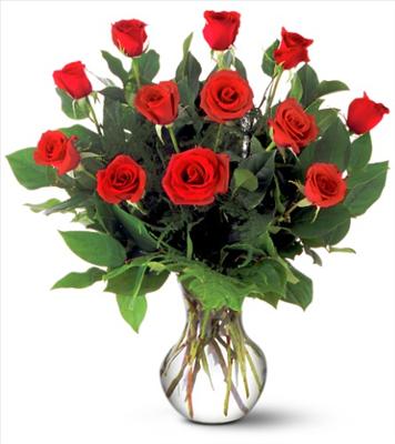 A dozen long stemmed roses