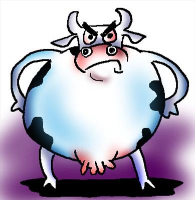 Cow