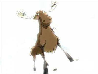 A room with a moose