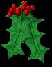 Holly Berries