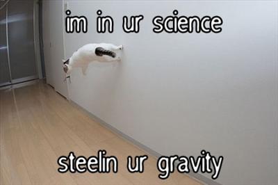 gravity cat 2