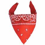 Red Bandana