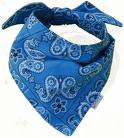 Blue Bandana