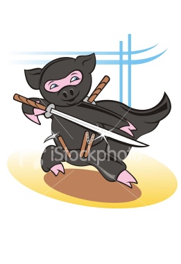 Ninja Pig