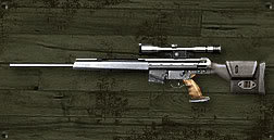 PSG_1