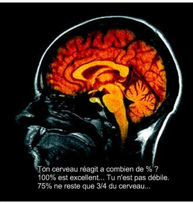 intelligent