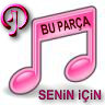 şarkı