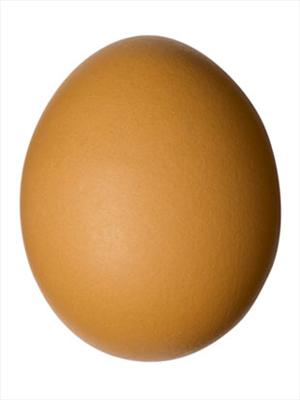 Egg