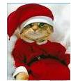 Santa Cat