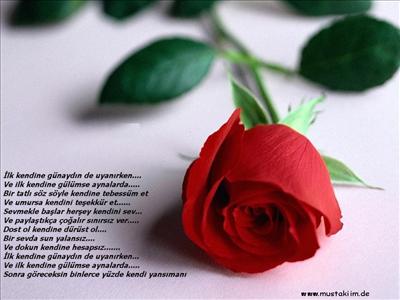 I Love You