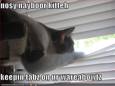 Funny Kitty