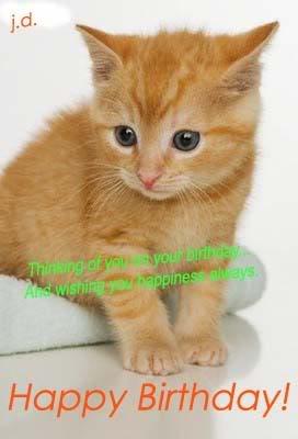 Birthday Kitten