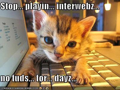Online Kitten