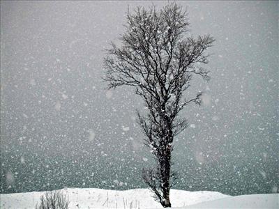 Snow