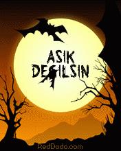 Aşık değilsin